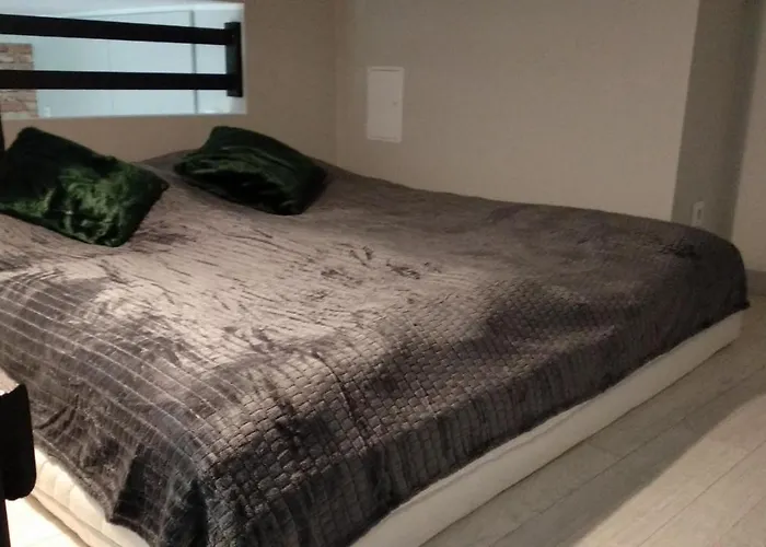 Apartament 5 Przy Parku Lesnym