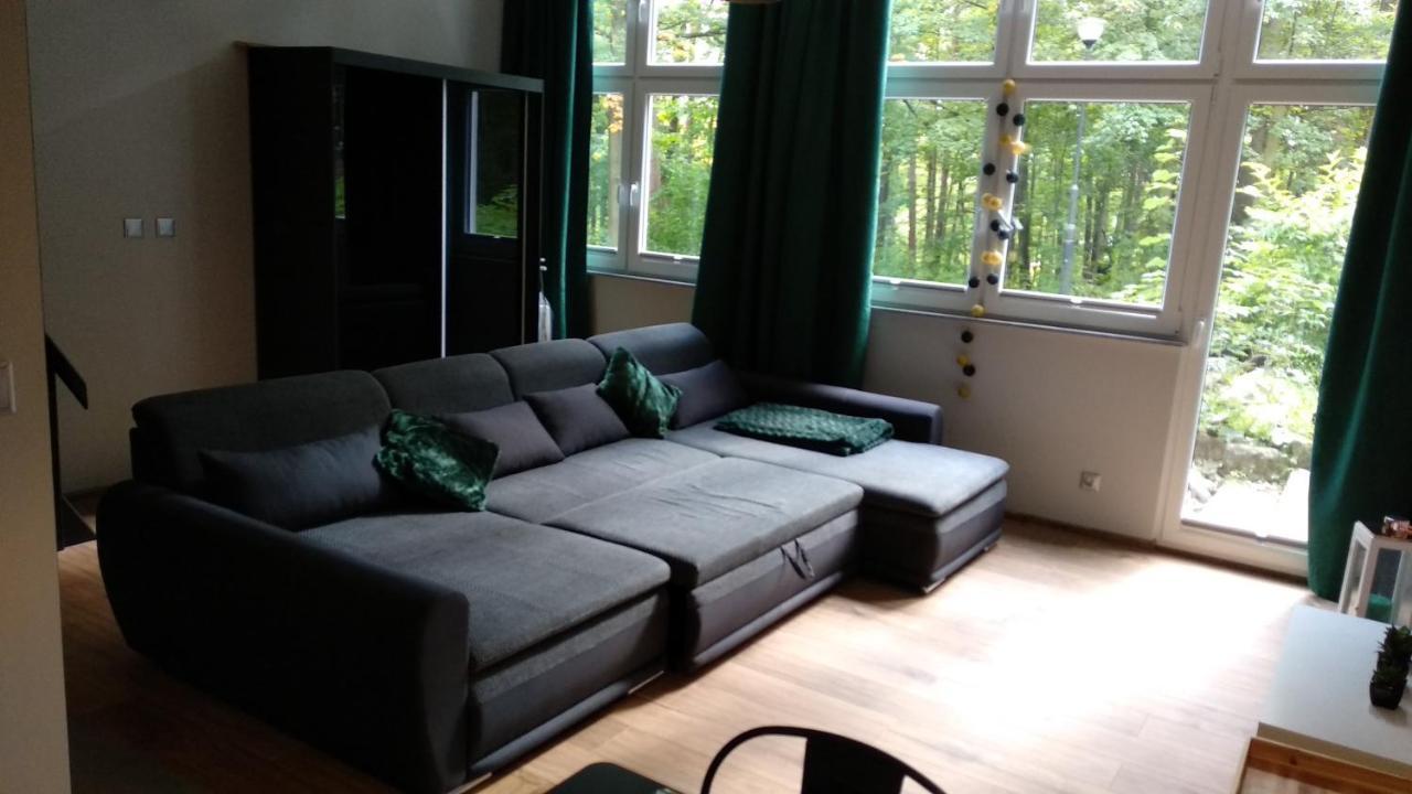 Apartment 5 Przy Parku Lesnym