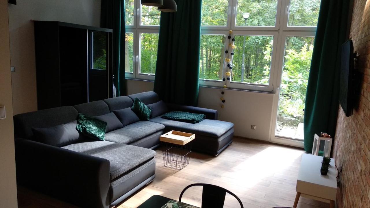 5 Przy Parku Lesnym Apartment *